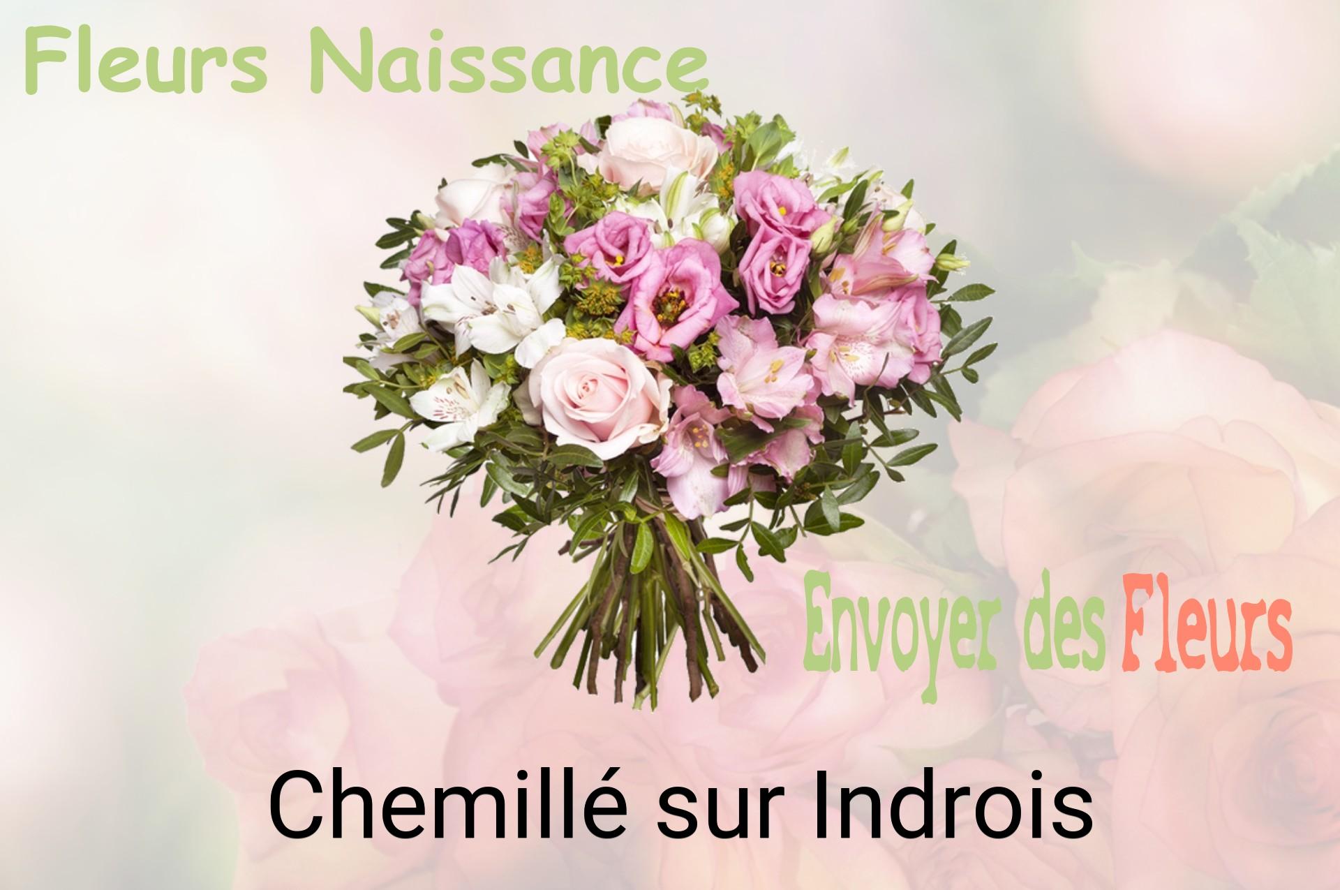 Bouquet de fleurs de naissance livré à Chemillé-sur-Indrois